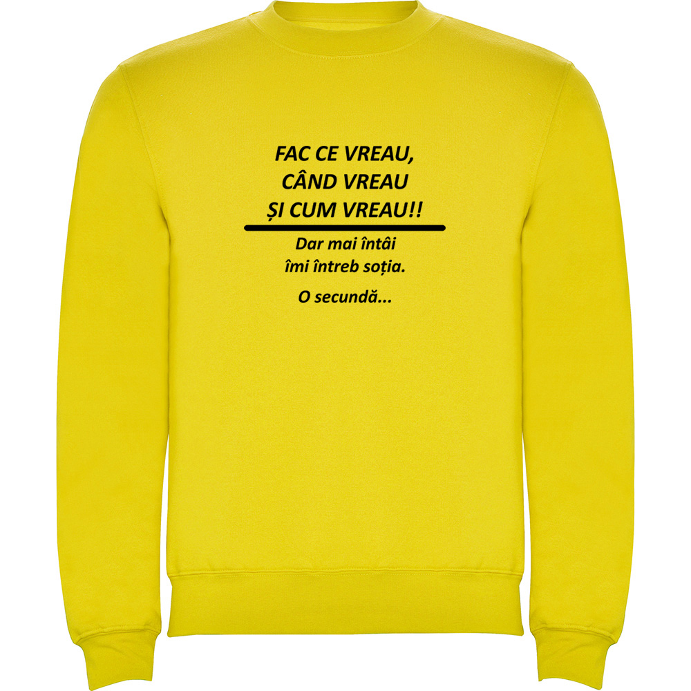 FACCEVREAU.PLV_.YEL_.jpg Pulover Fac ce vreau, Galben - imagine 1